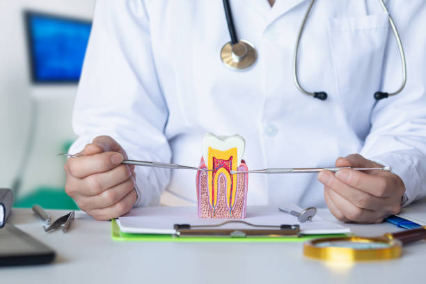 Best Mobile Emergency Dentist in Baird, TX